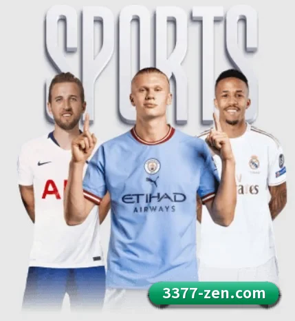 每个板块围绕一个运动项目展开 | 3377SPORTS